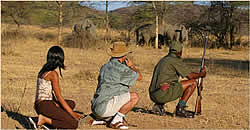 Limpopo Game Reserve Accommodation - Ka'ingo Reserve and Spa - Vaalwater Accommodation - Waterberg Game Reserves - Guided Bush Hikes