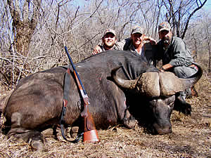 Big game hunting Limpopo