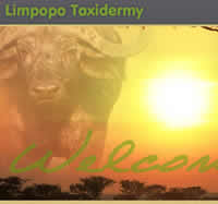 Limpopo Taxidermy 