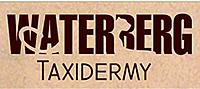 Waterberg Taxidermy