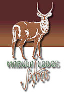 Marula Lodge Safaris