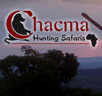 Chacma Hunting Safaris